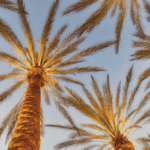 Offices for Car Crash Lawyers in California