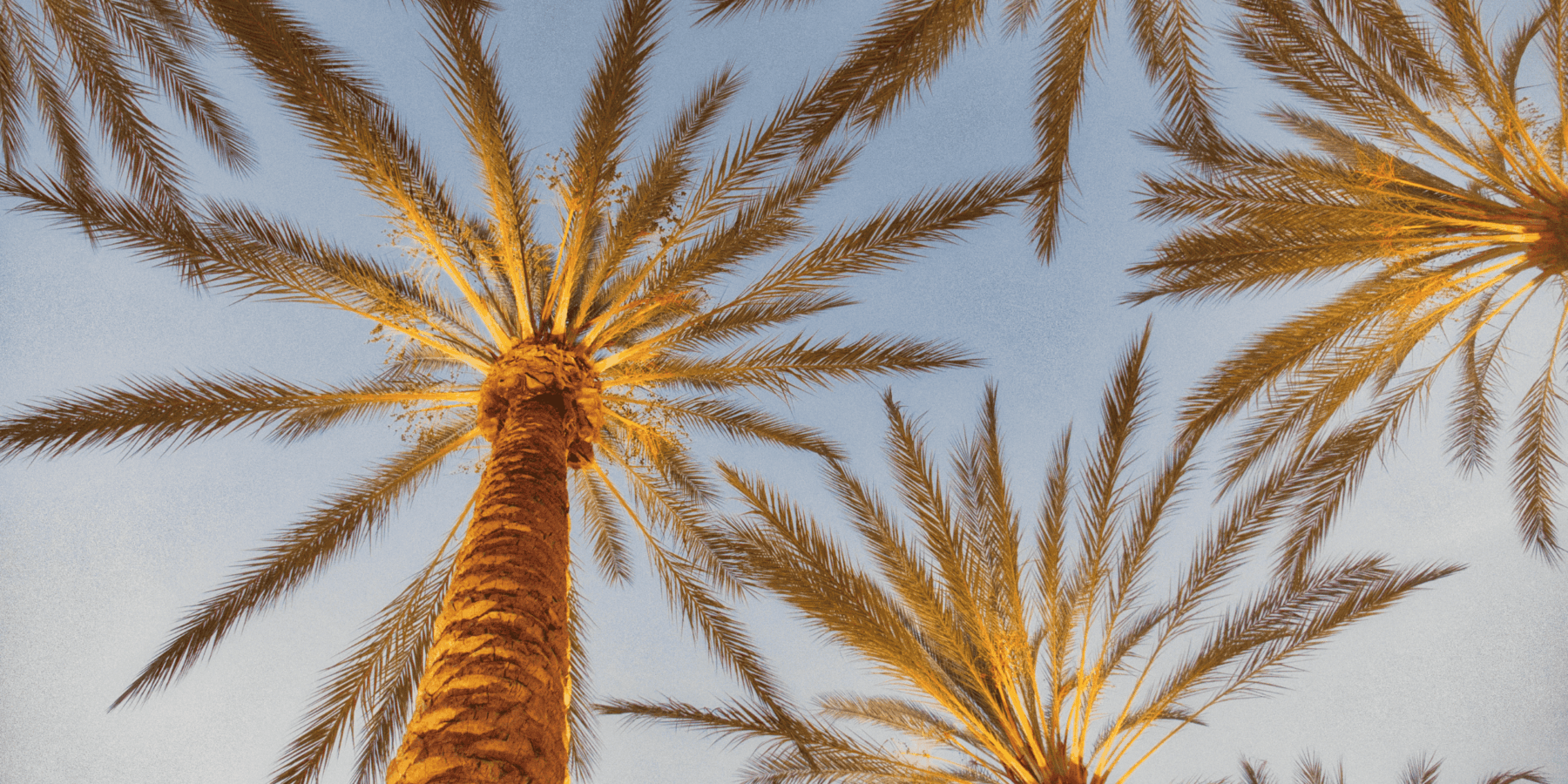 Offices for Car Crash Lawyers in California