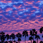 Practice Areas in California