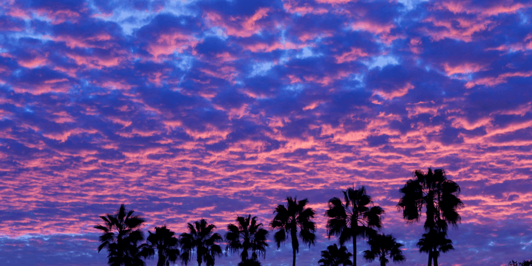Practice Areas in California