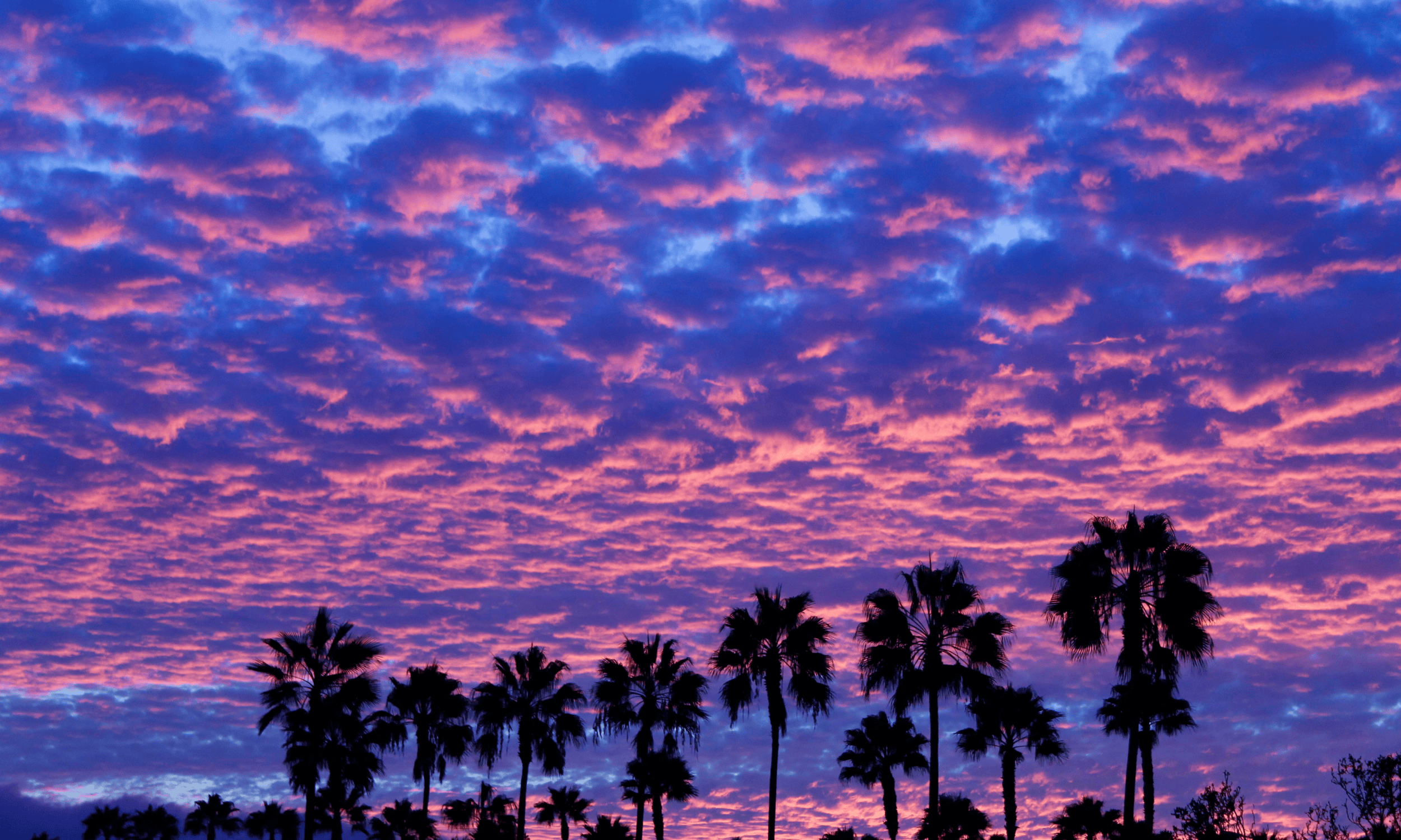 Practice Areas in California