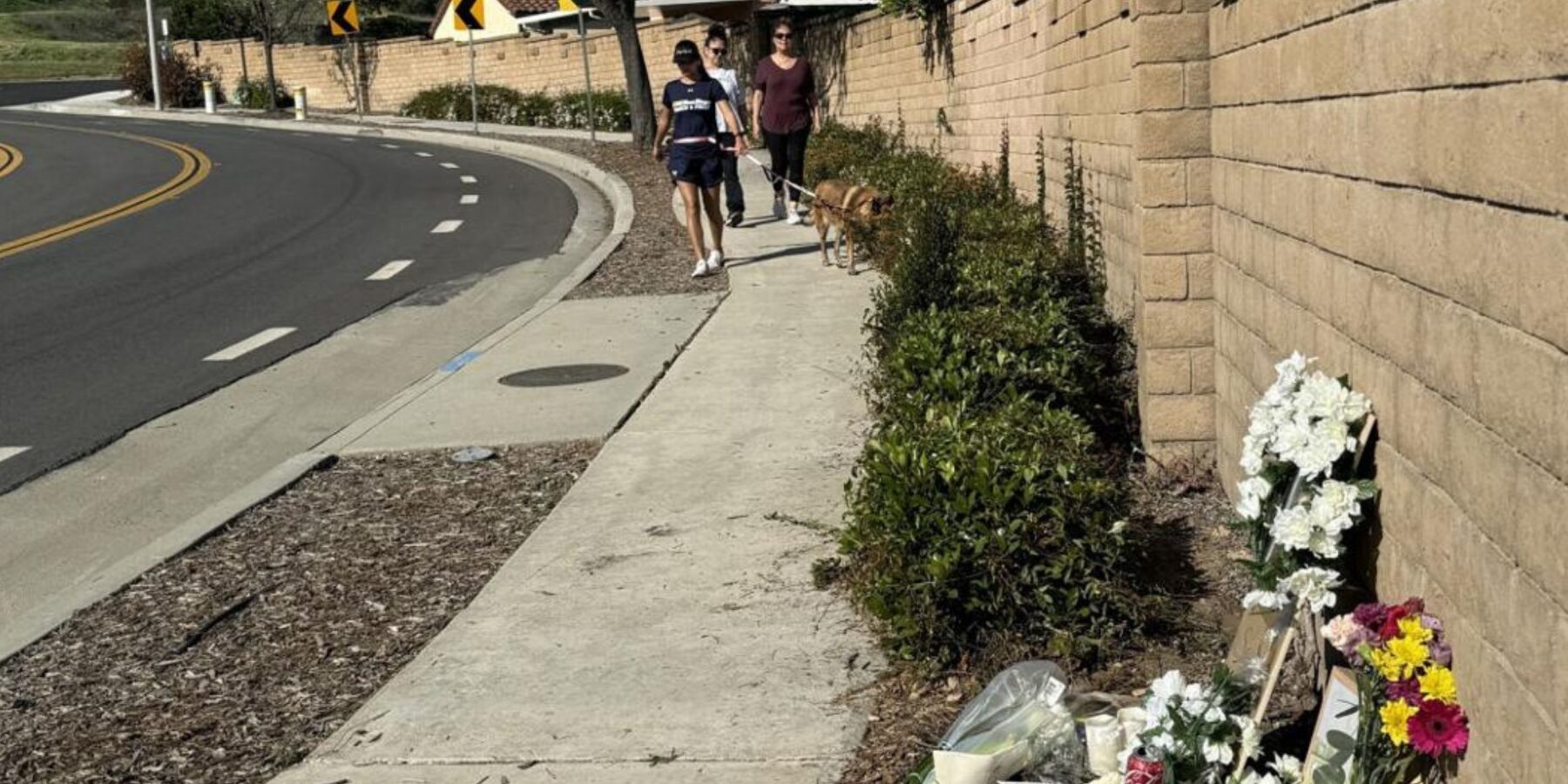 Essential Details About the Chino Bicycle Accident in April 2025