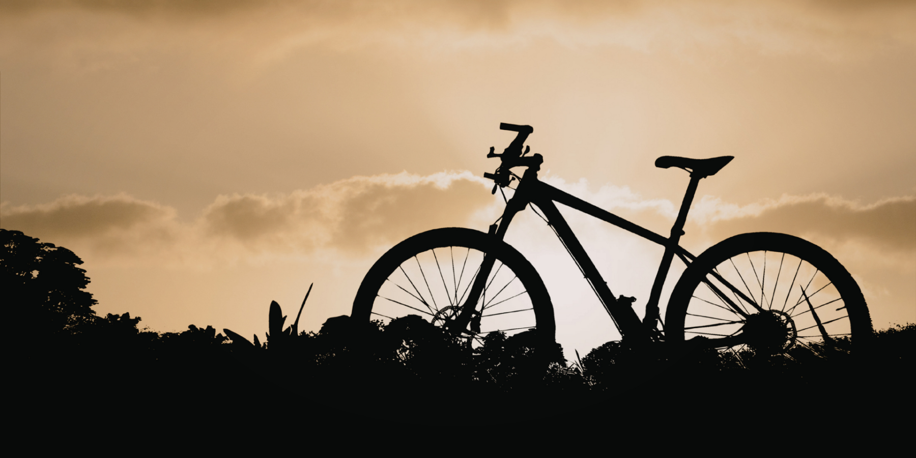 One Bicyclist Killed, Another Seriously Injured in Banning Collision