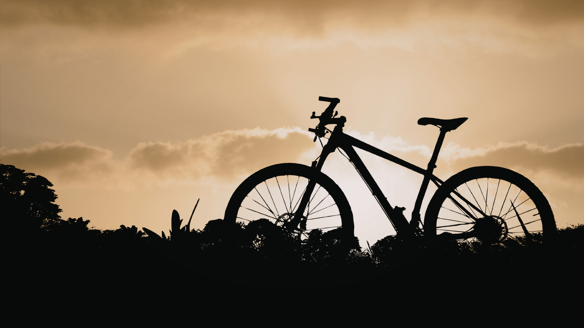 One Bicyclist Killed, Another Seriously Injured in Banning Collision